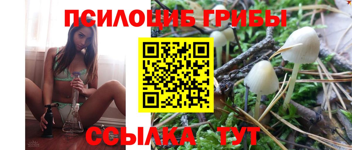 Псилоцибиновые грибы мицелий Удомля